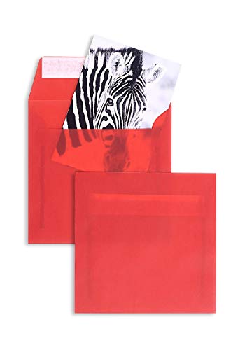 Farbige Transparent-Hüllen | Premium | 170 x 170 mm Rot (100 Stück) mit Abziehstreifen | Briefhüllen, Kuverts, Couverts, Umschläge mit 2 Jahren Zufriedenheitsgarantie von Blanke Briefhüllen