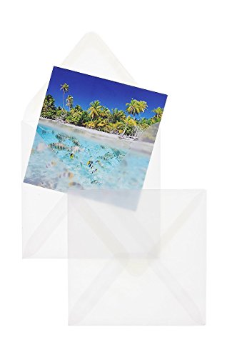Transparent-Hüllen | Premium | 155 x 155 mm Weiß (100 Stück) Nassklebung | Briefhüllen, Kuverts, Couverts, Umschläge mit 2 Jahren Zufriedenheitsgarantie von Blanke Briefhüllen
