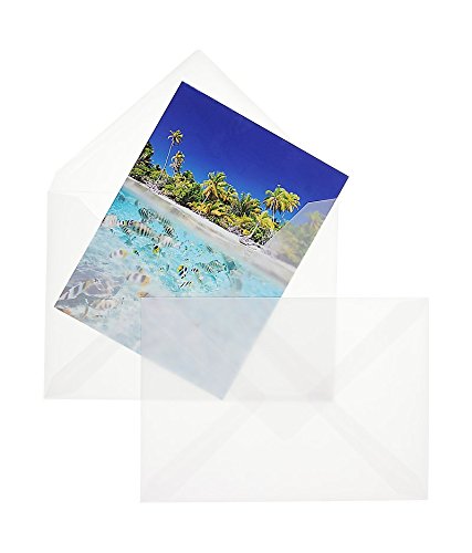 Transparent-Hüllen | Premium | 81 x 112 mm Weiß (100 Stück) Nassklebung | Briefhüllen, Kuverts, Couverts, Umschläge mit 2 Jahren Zufriedenheitsgarantie von Blanke Briefhüllen