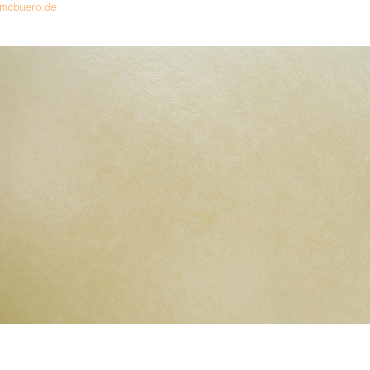 Blanke Briefumschläge 130x130mm 100g/qm gummiert VE=100 Stück champagn Blanke Briefumschläge 130x130mm 100g/qm gummiert VE=100 Stück champagn von Blanke