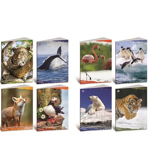 BLASETTI CF10 QUADERNO ANIMALI 100G A4 10M Schulausrüstung von Blasetti