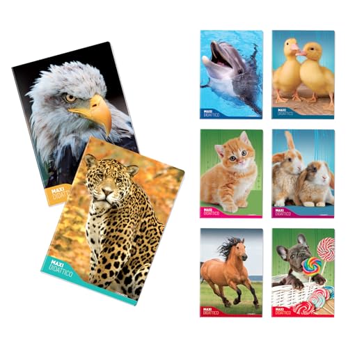 Blasetti - 6 DIDAKTISCHE Maxi-Hefte FANTASIE One Color. Papier 100g, 72 Seiten + Umschlag, Jolly Page, ideal für Dysgraphie, Packung mit gemischten Farben - Karierte Seiten (10M) von Blasetti