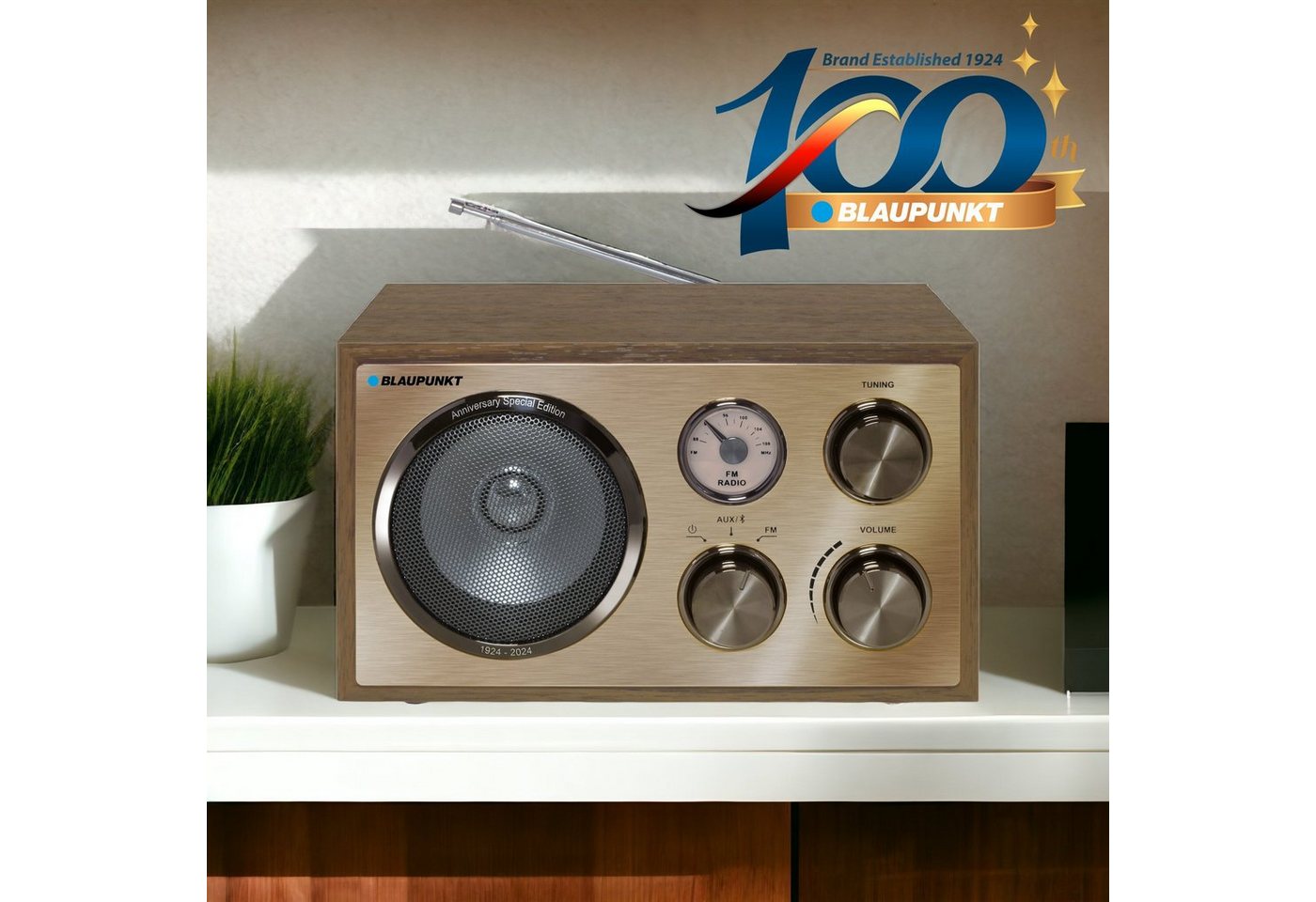 Blaupunkt RXN 180 Retro-Radio (FM-Tuner, 3,00 W) von Blaupunkt