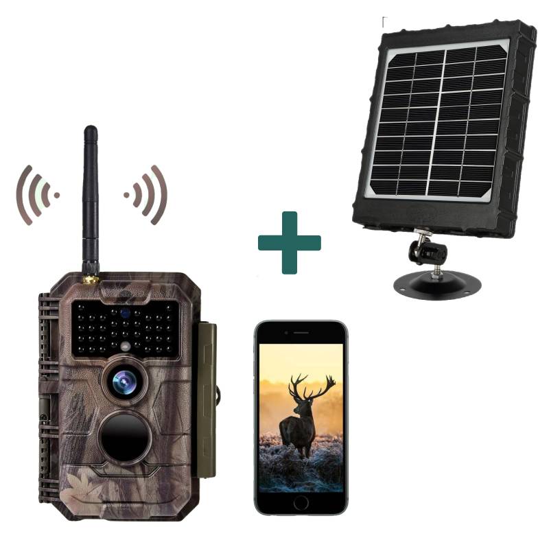 Bundle Wildkamera Wildtierkamera Jagdkamera Wlan 32MP 1296P 0,1s Auslöserzeit Bewegungsmelder 110°PIR und Solarpanel-Kits 8000mAh 12V/9V/6V| W600 Rot von BlazeVideo