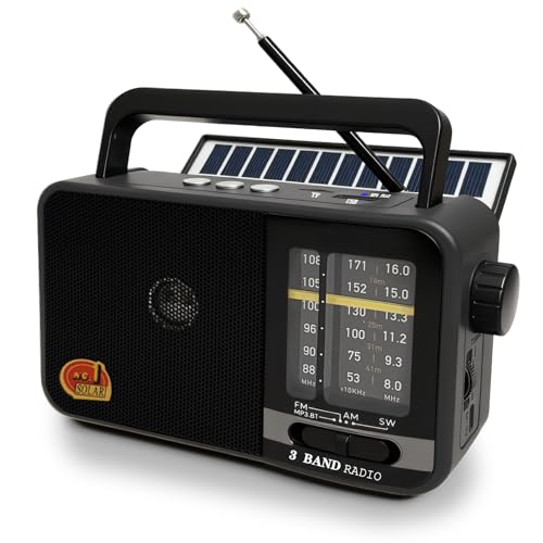 Tragbarer Radio Klein mit Solarzelle und 1200mAh-Batterie, AM/FM/SW Empfänger mit 8W Lautsprecher/TWS/USB/TF, kofferradio mit Bluetooth für Camping, Notfälle und Outdoor (Grey) von BliMySwe