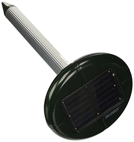 Blinky – Solar Ultraschall Maulwurf, Nagetier- und Maus abweisend von Blinky