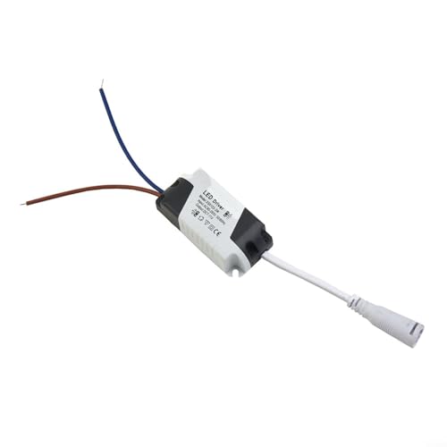BlissfulAbode LED-Panel-Treiber Konstantstrom-Netzteil – 3 W, 6 W, 12 W, 18 W, 24 W Gleichstrom, für schmale Panelleuchten, Deckenleuchten, Innenbeleuchtung (1–3 W) von BlissfulAbode