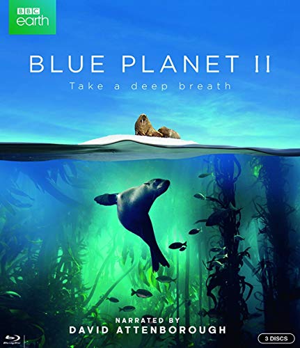 Blue Planet Serie 2 [Blu-Ray] [Import] von Blu Ray St Blu Ray St