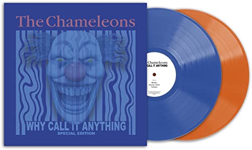 Why Call It Anything (Ltd.Coloured Vinyl) [Vinyl LP] von Blue Apple Music