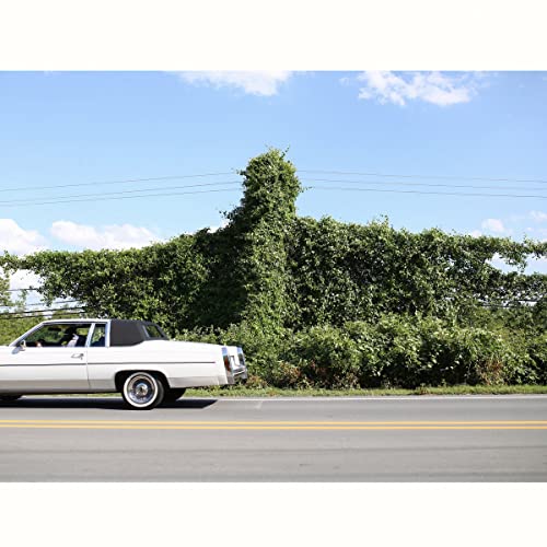 When I Go I Ghost von Blue Elan Records