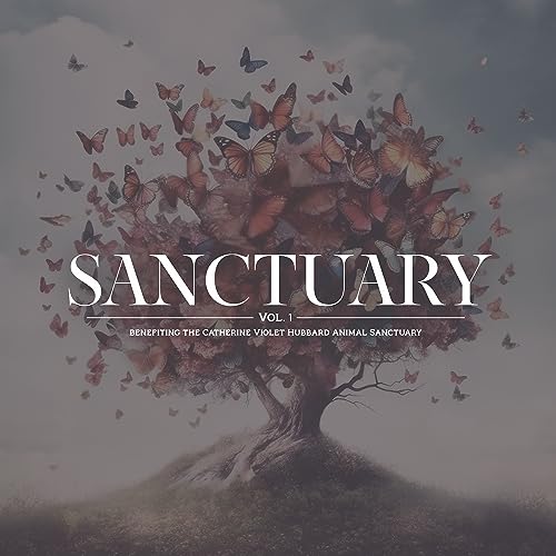 Sanctuary Vol. 1 (Various Artists) [Vinyl LP] von Blue Rose Music