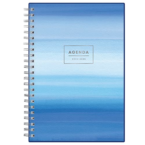 Blue Sky Chanson 128694-A23 Akademischer Jahresplaner, Wochen- und Monatsplaner, 12,7 x 20,3 cm, mattierter, flexibler Einband, drahtgebunden, 128694-A23 von Blue Sky