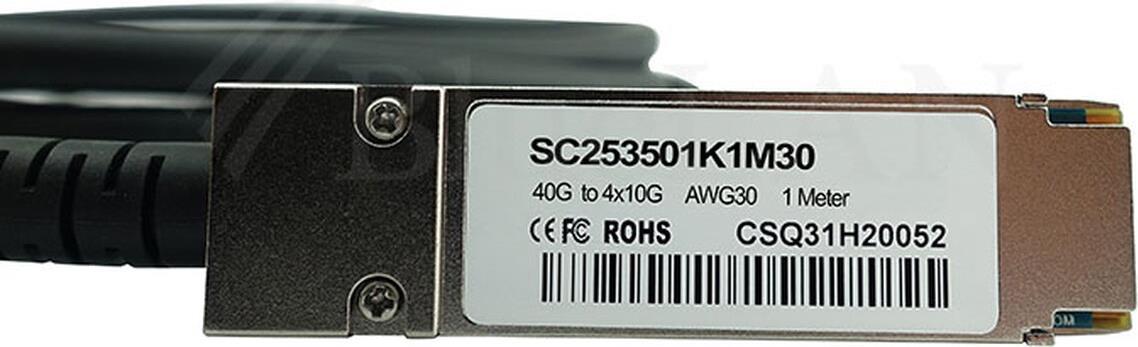 BlueOptics 470-AAXG-BL InfiniBand-Kabel 3 m QSFP Schwarz (470-AAXG-BL) von BlueOptics