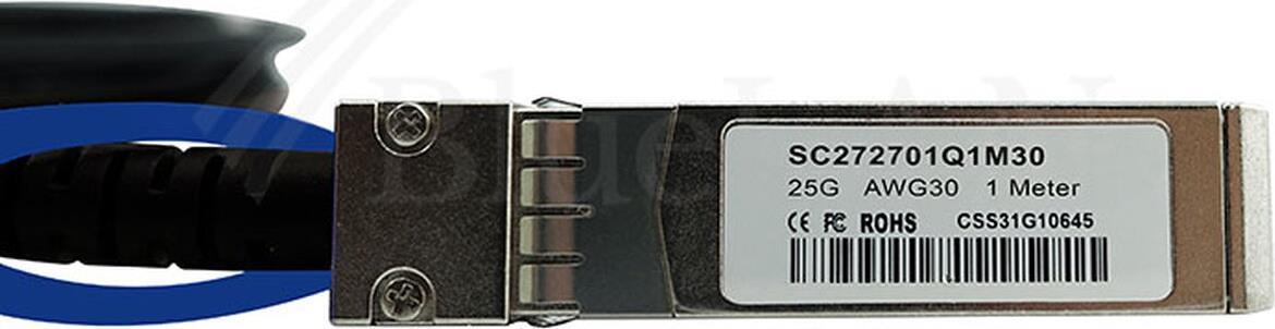 BlueOptics SFP28-DAC-5M-CI-BL InfiniBand-Kabel Schwarz (SFP28-DAC-5M-CI-BL) von BlueOptics