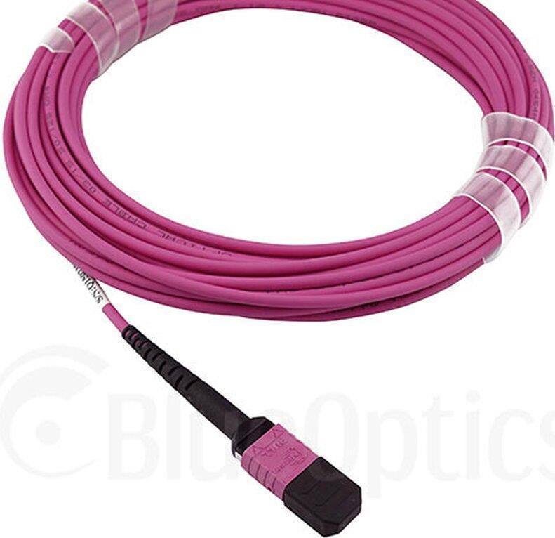 BlueOptics SFP5252FU1MKB Glasfaserkabel 1 m MPO OM4 Violett (SFP5252FU1MKB) von BlueOptics