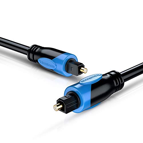 BlueRigger Digitales optisches Audio-Toslink-Kabel (30 m, Glasfaserkabel, CL3-bewertet, 24 K vergoldet) – kompatibel mit Heimkino, Soundbar, TV, Xbox, Playstation PS5/PS4 von BlueRigger