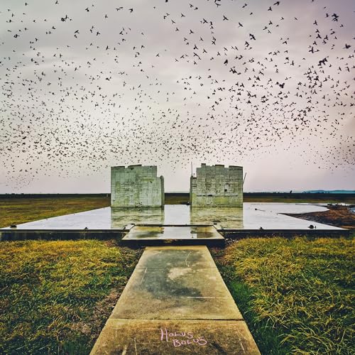 Holus Bolus von Blues Funeral Recordings