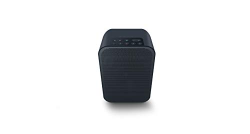 Bluesound Pulse Flex 2i tragbarer kabelloser Streaming-Lautsprecher - Schwarz von Bluesound