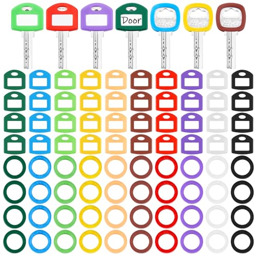 Blulu 80 Stück Schlüssel-Farbabdeckungen, Kappen und Etiketten, Schlüsselringe, Aufsätze für Organisation, Haus, 2 Stile (klassische Farbe) von Blulu