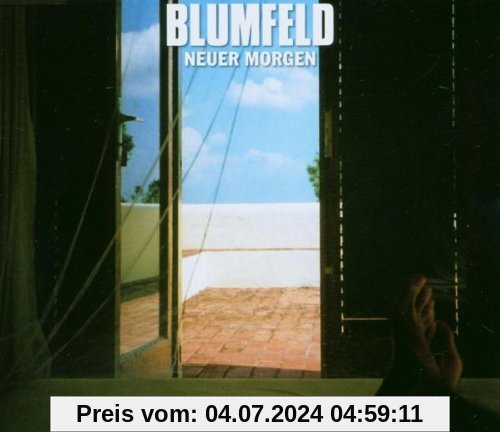 Neuer Morgen von Blumfeld