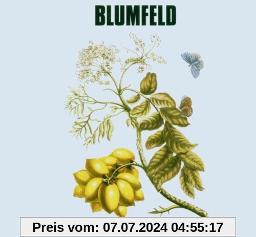 Verbotene Früchte von Blumfeld