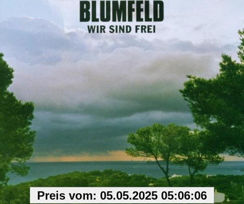 Wir Sind Frei von Blumfeld