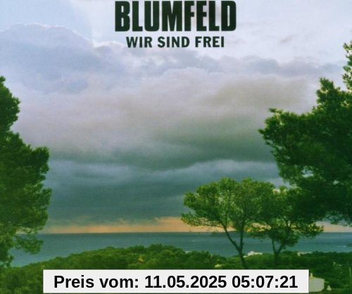 Wir Sind Frei von Blumfeld