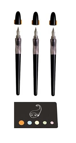 3 Stifte Kalligraphie Plumix 1 breite Spitze + 1 mittlere Spitze + 1 feine Spitze + 1 Klebeindex Blumie von Blumie Shop