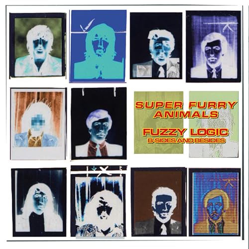 Fuzzy Logic (LP) [Vinyl LP] von Bmg Rights Mgmt Gmbh (Universal Music)