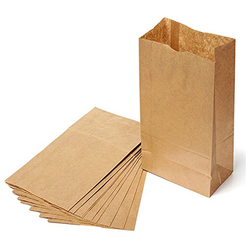 10 Stück Tüten aus Packpapier in braun für Partygeschenke, Brot und Lebensmittel 10er-Pack von Bodhi2000