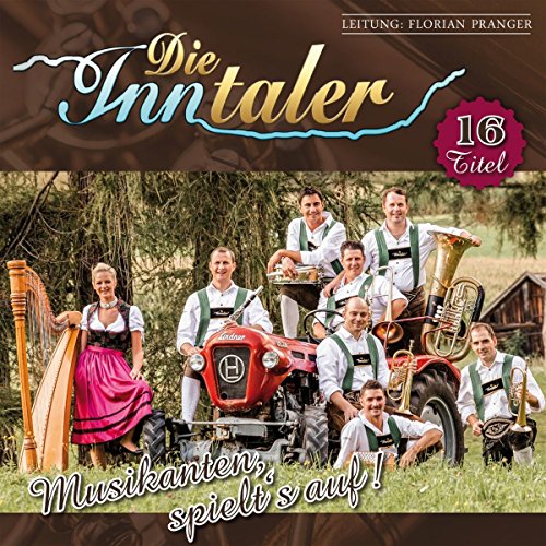 Musikanten,Spielt'S auf Musikanten,Spielt'S auf von Bogner Records / Bogner Records