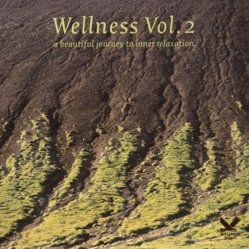 Wellness Vol. 2 - A beautiful journey to inner relaxation (+ CD) [2 DVDs] von Bogner Records