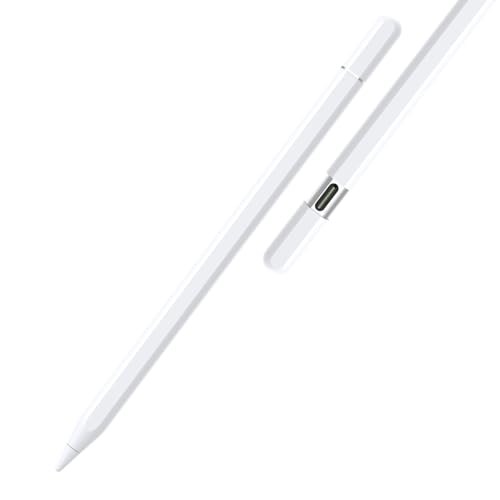 Bolvunes Stift für iPad Pencil (USB C), Stylus mit magnetischer kabelloser Aufladung und USB-C Schnellladefunktion Stylus Pencil für Mini 7/6/5,Air 5/4/3, Pro,iPad 10/9/8/7/6 Gen von Bolvunes