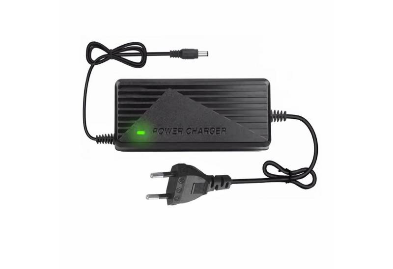 Bolwins I52C 12V 5A Lithium Batterie Netzteil Ladegerät für DC5,5mm EU Stecker Batterie-Ladegerät von Bolwins