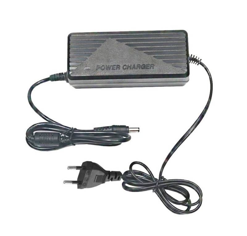 Bolwins I52C 12V 5A Netzteil Ladegerät Power Adapter für DC 5,5mm EU Stecker Batterie-Ladegerät von Bolwins