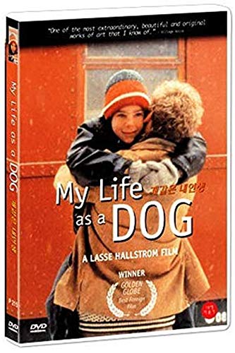 My Life As A Dog, Mitt liv som hund (1985) NTSC, 1,2,3,4,5,6 All Region dvd von Bona Bona