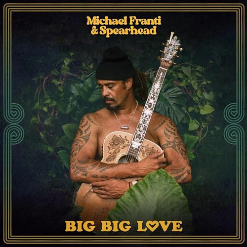 Big Big Love [Vinyl LP] von Thirty Tigers
