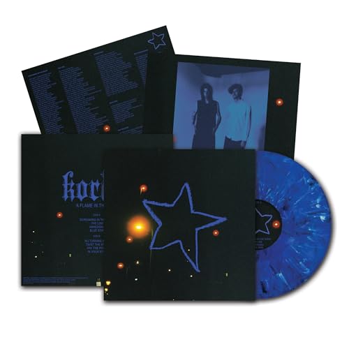 A Flame In The Dark [Vinyl LP] von Born Losers Records