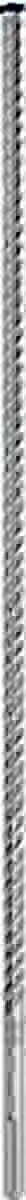 Bosch Hammerbohrer Expert SDS max-8X D.20mm Arbeits-L.800mm L.920mm SDS max 1 Bosch Hammerbohrer Expert SDS max-8X D.20mm Arbeits-L.800mm L.920mm SDS max 1 von Bosch Power Tools