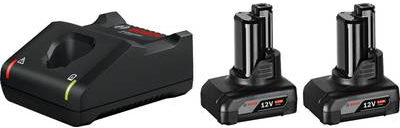 Bosch Starter Set - Batterieladegerät + Batterie 2 x - Li-Ion - 6 Ah - 4 A (1600A01B20) von Bosch