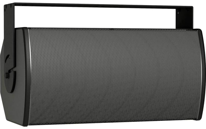 Bose Pro ArenaMatch Utility AMU 108-120 schwarz, Stück von Bose Professional