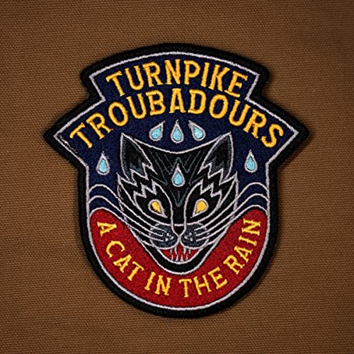 A Cat In The Rain [Vinyl LP] von Thirty Tigers