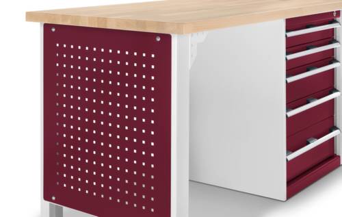 Bott 41010016.24V Seitenpanel (B x H) 610mm x 692mm von Bott