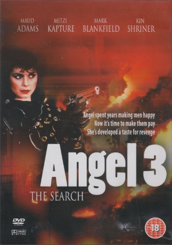 Angel III [DVD] [2007] von Boulevard Entertaiment