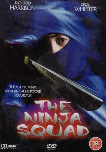Ninja Squad [DVD] von Boulevard Entertaiment