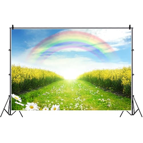 Bovlleetd 220x150cm Regenbogen Natur Hintergrund Vinyl Frühling Grüne Felder Landschaft Gänseblümchen Floral Fotografie Hintergrund Neugeborenes Baby Erwachsene Porträt Fotostudio Requisiten von Bovlleetd