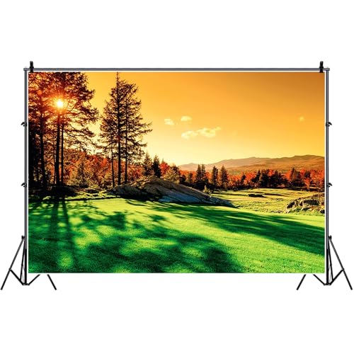 Bovlleetd 300x250cm Mountain Sunset Scenery Backdrop Vinyl Wald Baum Grüner Rasen Dämmerung Landschaft Hintergrund für Fotoshooting Wandern Reise Urlaub Tapete Portrait Photo Booth Requisiten von Bovlleetd