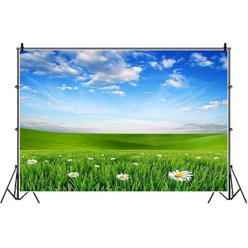 Bovlleetd Himmelblau Weiß Wolke Hintergrund Vinyl Frühling Natürliche Landschaft Hintergrund Grüner Rasen Gänseblümchen Blumen Fotografie Hintergrund YouTube Porträt Foto Requisiten 150x120cm von Bovlleetd