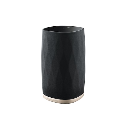 Bowers & Wilkins Formation Flex Multiroom Smart-Speaker Wifi, AirPlay2, BT von B&W