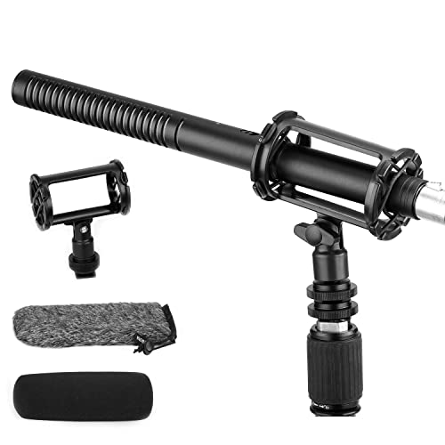 Boya XLR Shotgun Mikrofon BY-BM6060, Supernieren-Kondensatormikrofon mit 24 48 V Phantomspeisung für Kamera, Camcorder, Film, Interview, TV-Programm, Aufnahme, Podcast von Boya